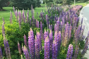 1035 Newbury Neck Rd, Surry, ME 04684 - Photo 109