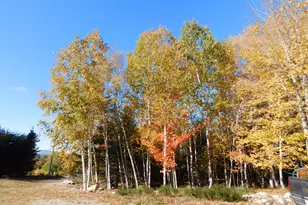 63 Orcutt Mountain Rd, Bucksport, ME 04416 - Photo 79