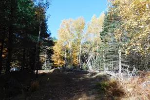 63 Orcutt Mountain Rd, Bucksport, ME 04416 - Photo 71