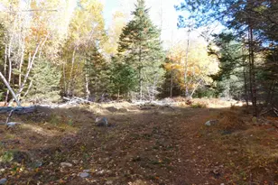 63 Orcutt Mountain Rd, Bucksport, ME 04416 - Photo 65