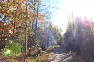 63 Orcutt Mountain Rd, Bucksport, ME 04416 - Photo 57