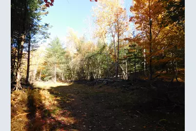 63 Orcutt Mountain Road, Bucksport, ME 04416 - Photo 69