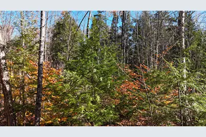 Lot 1 Old County Road, Woodville, ME 04457 - Photo 19
