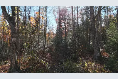 Lot 1 Old County Road, Woodville, ME 04457 - Photo 5