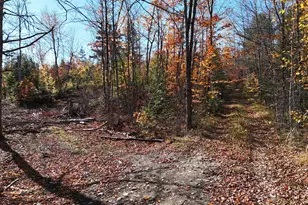 Lot 1 Old County Rd, Woodville, ME 04457 - Photo 1