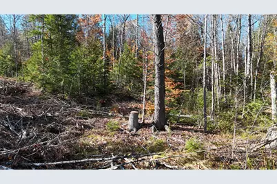 Lot 1 Old County Road, Woodville, ME 04457 - Photo 7