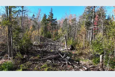 Lot 1 Old County Road, Woodville, ME 04457 - Photo 3