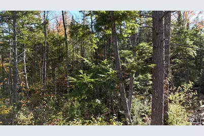Lot 1 Old County Road, Woodville, ME 04457 - Photo 11