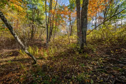 Lot 2 Lupine Road, Belfast, ME 04915 - Photo 9