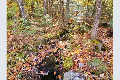 M13 L55 Holman Road, Peru, ME 04290 - Photo 11