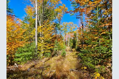 M13 L55 Holman Road, Peru, ME 04290 - Photo 13