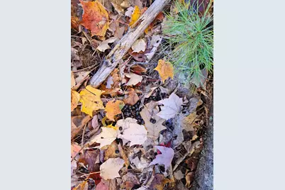 M13 L55 Holman Road, Peru, ME 04290 - Photo 29