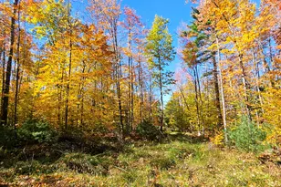 M13 L55 Holman Rd, Peru, ME 04290 - Photo 1