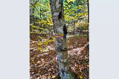 M13 L55 Holman Road, Peru, ME 04290 - Photo 25