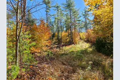 M13 L55 Holman Road, Peru, ME 04290 - Photo 3
