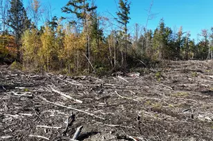 Lot 4 Long Pine Rd, Woodville, ME 04457 - Photo 1
