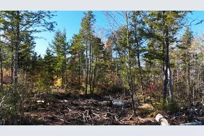 Lot 4 Long Pine Road, Woodville, ME 04457 - Photo 15