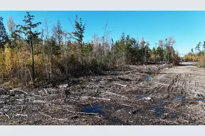 Lot 4 Long Pine Road, Woodville, ME 04457 - Photo 3