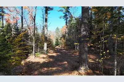 Lot 49 Lee Road, Lee, ME 04455 - Photo 5