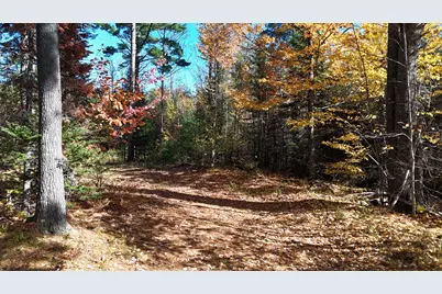 Lot 49 Lee Road, Lee, ME 04455 - Photo 9