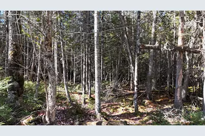 Lot 49 Lee Road, Lee, ME 04455 - Photo 7