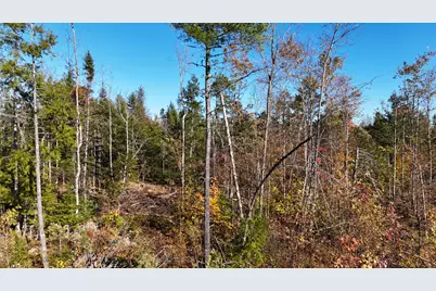 Lot 5 Long Pine Road, Woodville, ME 04457 - Photo 9