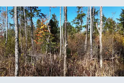 Lot 5 Long Pine Road, Woodville, ME 04457 - Photo 3