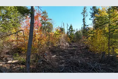 Lot 5 Long Pine Road, Woodville, ME 04457 - Photo 5
