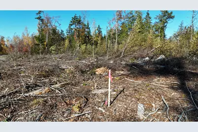 Lot 5 Long Pine Road, Woodville, ME 04457 - Photo 15
