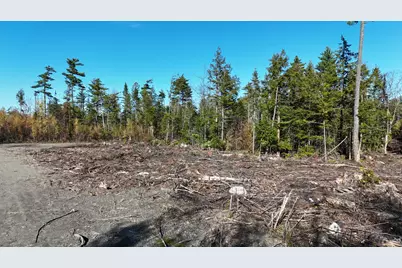 Lot 5 Long Pine Road, Woodville, ME 04457 - Photo 11