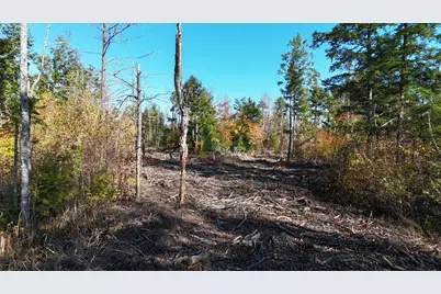 Lot 5 Long Pine Road, Woodville, ME 04457 - Photo 1