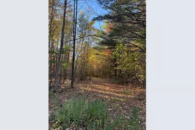 0 Lillian's Lane, Dixmont, ME 04932 - Photo 21