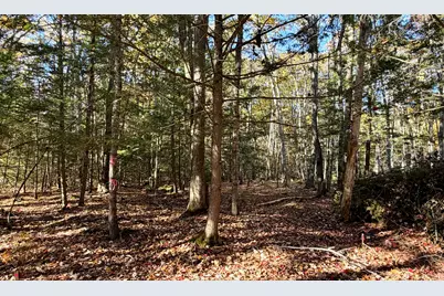 Lot A Branch Road, Wells, ME 04090 - Photo 9