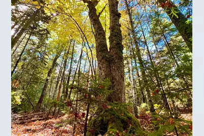 Lot #E Windsong Way, South Bristol, ME 04573 - Photo 1