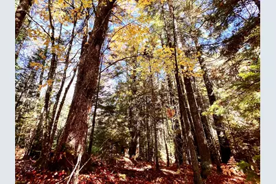 Lot #E Windsong Way, South Bristol, ME 04573 - Photo 9
