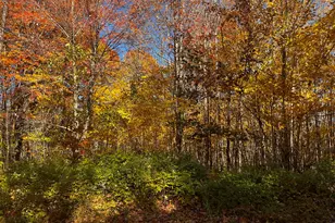 18 Dawes Rd, Dover Foxcroft, ME 04426 - Photo 1