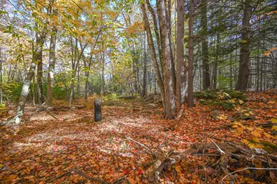 Lot 16 Lost Mile Road, Parsonsfield, ME 04047 - Photo 21