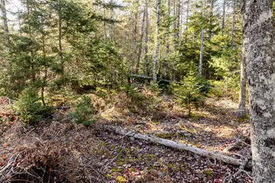 27-10-4E2A Pine Cone Lane, Surry, ME 04684 - Photo 3
