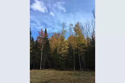 63 Averill Hill Road, Dixfield, ME 04224 - Photo 3