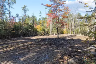 Lot #9 Raspberry Hill Rd, Mechanic Falls, ME 04256 - Photo 1