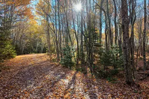 183 Hooke Rd, Harrington, ME 04643 - Photo 29