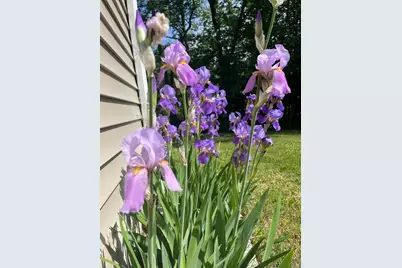 12 Pierce Avenue, Sanford, ME 04073 - Photo 37