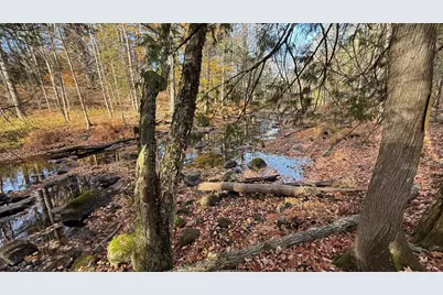 29 Lovers Lane, Saint Albans, ME 04971 - Photo 49
