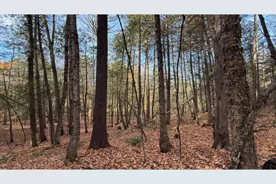29 Lovers Lane, Saint Albans, ME 04971 - Photo 55