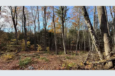 29 Lovers Lane, Saint Albans, ME 04971 - Photo 57