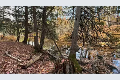 29 Lovers Lane, Saint Albans, ME 04971 - Photo 51