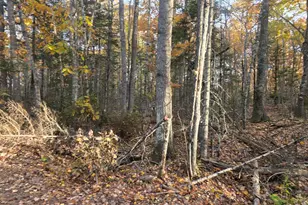 Lot 2 W Cider Mill Ln, Swanville, ME 04915 - Photo 1