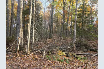 Lot 2 W Cider Mill Lane, Swanville, ME 04915 - Photo 3