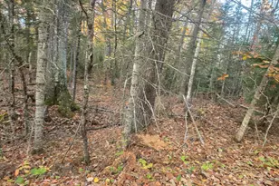 Lot 1 W Cider Mill Ln, Swanville, ME 04915 - Photo 1
