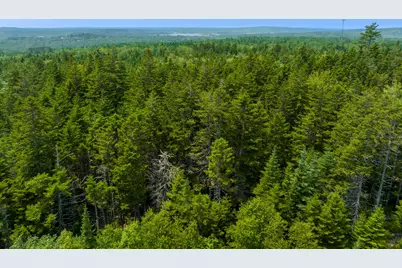 65 Lookout Mountain Road, East Machias, ME 04630 - Photo 31